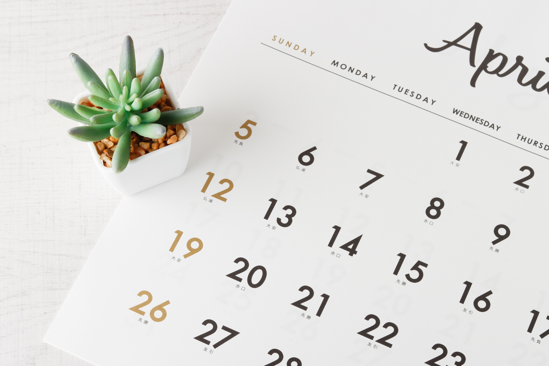 AdobeStock_196255348_1920x1280